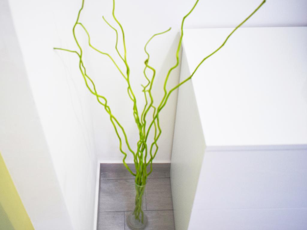 Shower Shows Marsala Extérieur photo